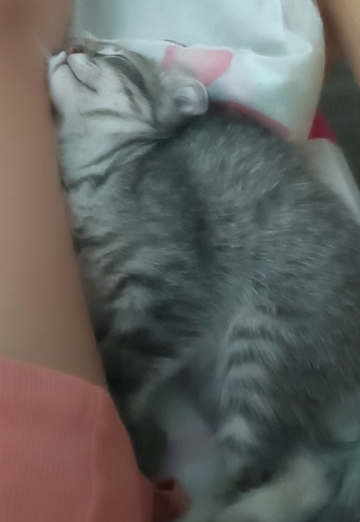 Ольга (@olga427227) — моя фотография № 1