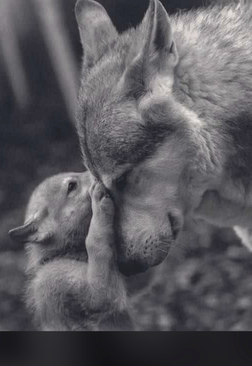 nggg (@nimble13) — моя фотография № 1