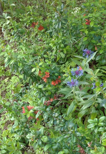 Nina (@nina51986) — моя фотография № 3