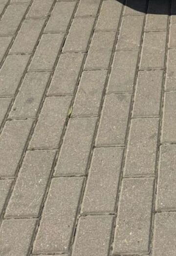 Александр (@aleksandr1219480) — моя фотография № 2