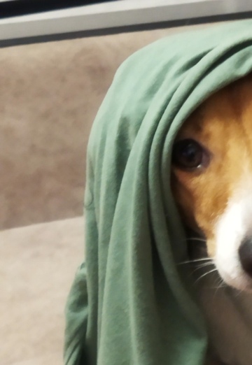 Алексей (@aleksey749683) — моя фотография № 1