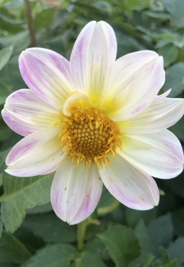 Ольга (@olga401540) — моя фотография № 1