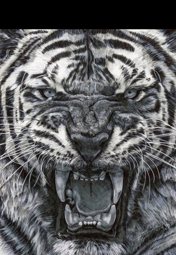 alex (@alex125914) — моя фотография № 1