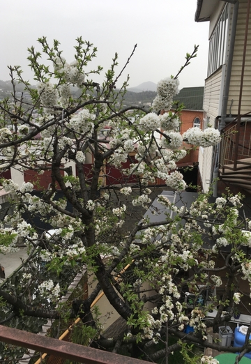 илья (@ilya127690) — моя фотография № 2